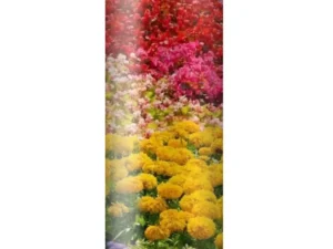 Custom Skinny Straight, Stainless-Steel Tumbler